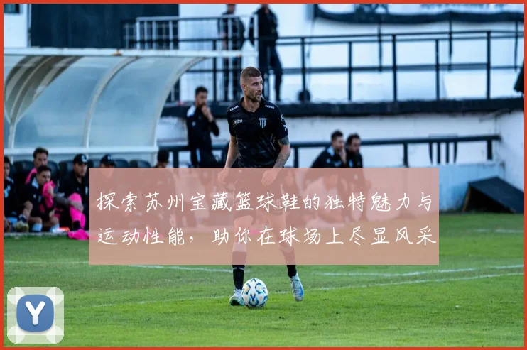 探索苏州宝藏篮球鞋的独特魅力与运动性能，助你在球场上尽显风采
